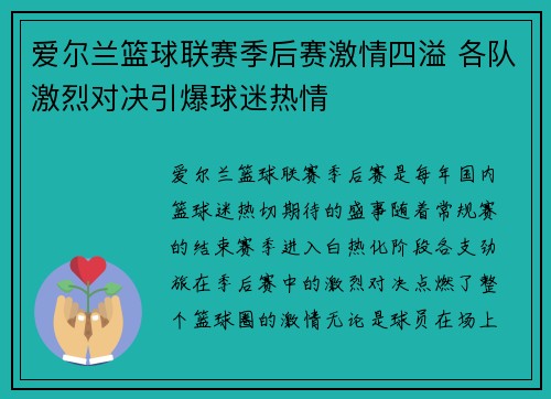 爱尔兰篮球联赛季后赛激情四溢 各队激烈对决引爆球迷热情